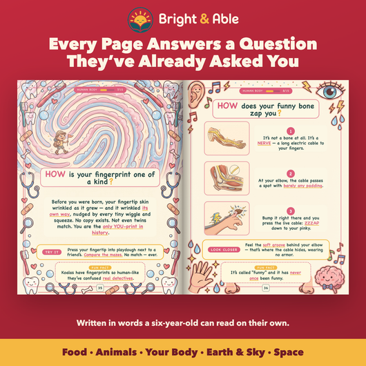 Inside pages - how fingerprints form and how your funny bone works